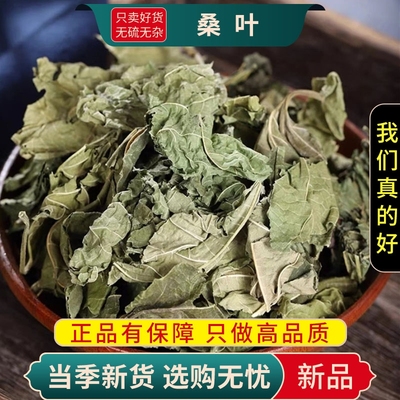甄选桑叶精选养生茶干货新货煮水泡茶官方店白菊花薄荷叶甘草