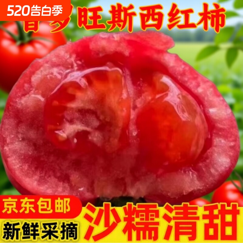 陕西泾阳普罗旺斯西红柿生吃沙瓤自然熟老品种包邮生鲜爆汁新鲜