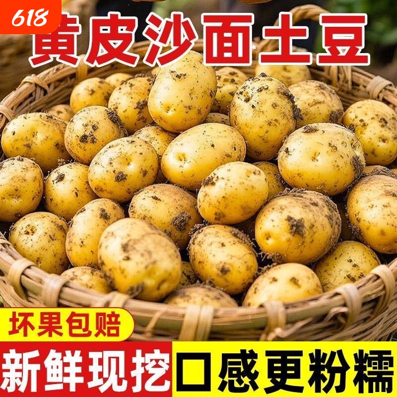 土豆2026新鲜现挖黄心黄皮新鲜现挖大个整箱大果粉糯农家自种