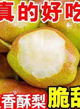红香酥梨新鲜梨子当季水果脆甜多汁酥脆薄皮脆梨红皮青梨整箱包邮
