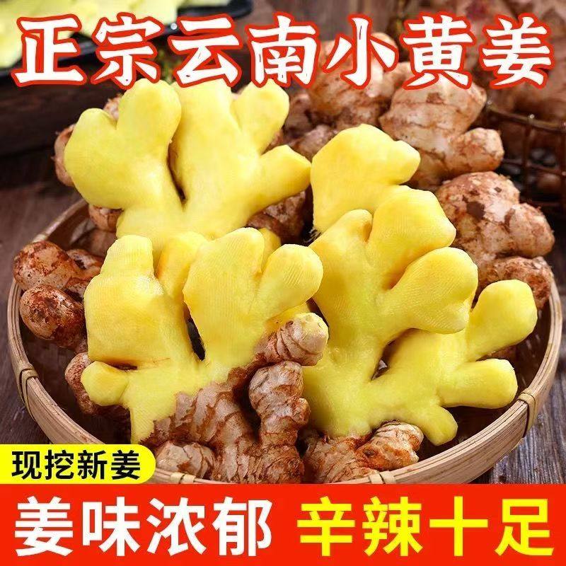 现挖云南新鲜小黄姜生姜干老姜嫩姜土姜子姜高山沙姜去腥调味品,水产肉类/新鲜蔬果/熟食,生姜/南姜,淘宝优惠券,粉丝福利购,淘宝优惠卷