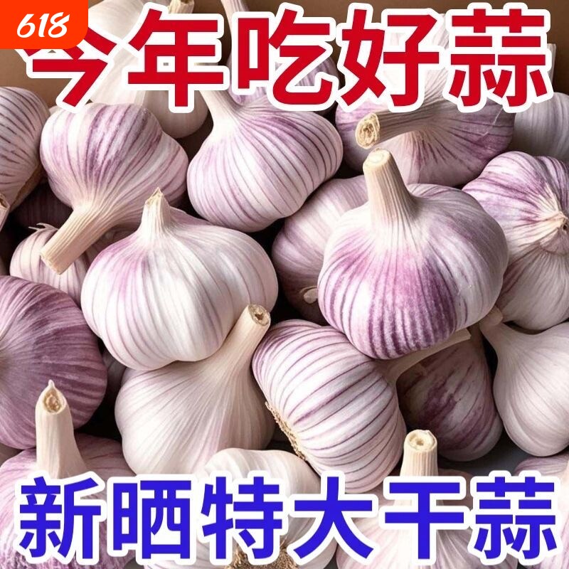 金乡大蒜农家大蒜头干蒜紫白皮新干蒜种籽新鲜蔬菜农家新大蒜头