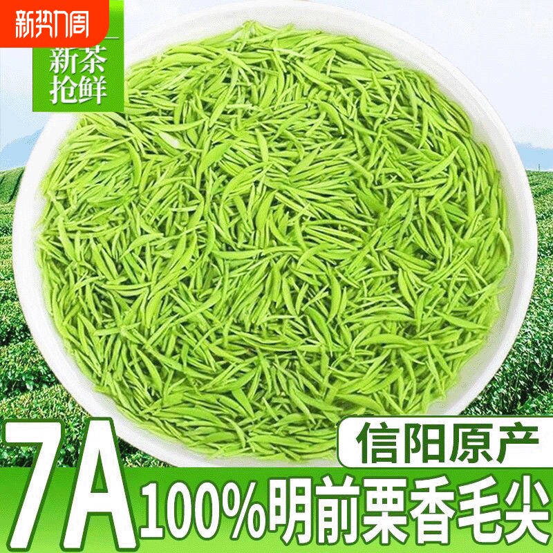 毛尖2025新茶明前特级信阳原产嫩芽浓香型毛尖绿茶散装茶叶自己喝