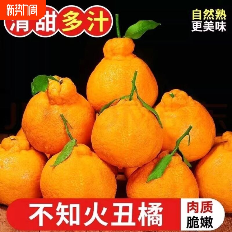 正宗四川不知火丑橘甜蜜多汁现采直发儿童孕妇时令水果桔子补维c