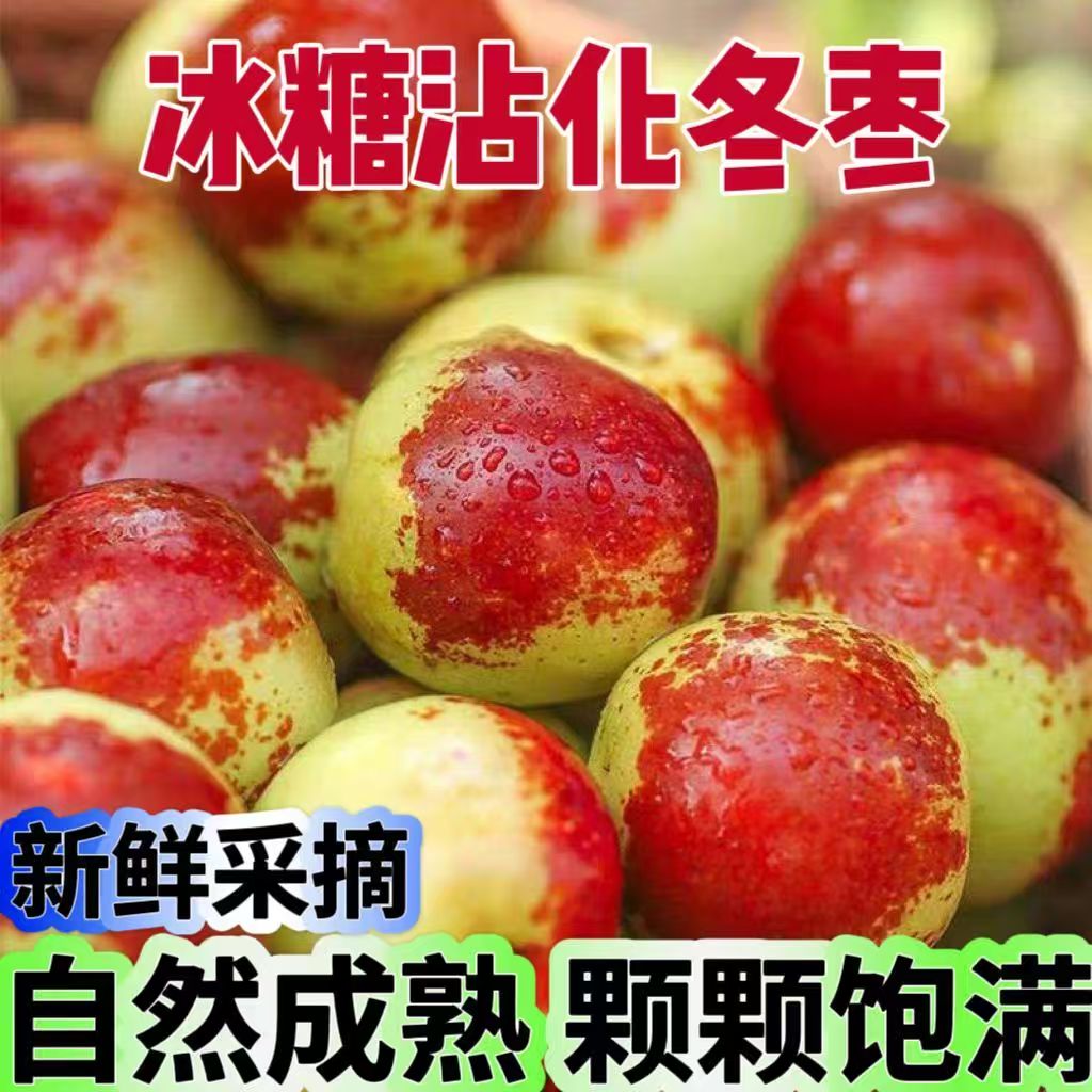 正宗山东沾化冰糖冬枣脆红冬枣新鲜冰糖枣现摘现发孕妇脆甜大枣
