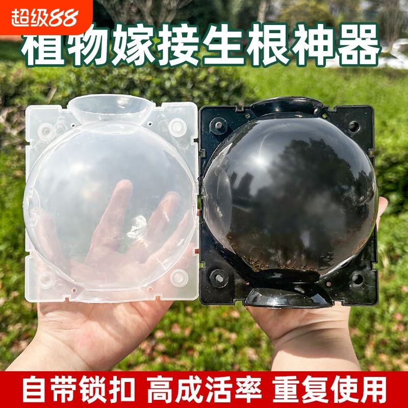 植物高压嫁接繁殖扦插果树枝条育苗花木移栽神器家用月季加厚水培