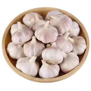 产地价山东紫皮大蒜头1斤3斤5斤