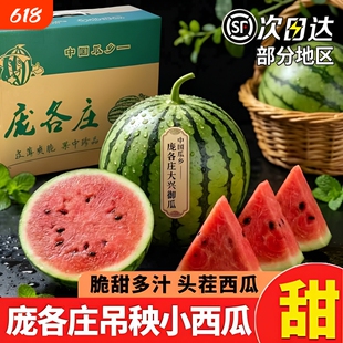 北京大兴庞各庄西瓜新鲜小西瓜现摘吊瓜甜瓜L600整箱顺丰包邮脆甜