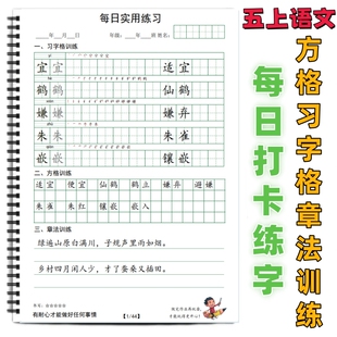 五年级上册课本同步写字表练字帖2025新款部编人教版小学语文写字表生字同步练习笔顺练字贴一二三四五六年级下方格习字格章法练习