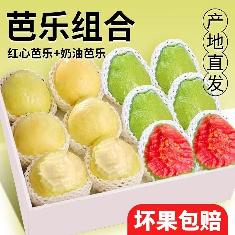 广西双拼红白心奶油冰淇淋芭乐软心软糯新鲜番石榴脆甜鸡屎果批发