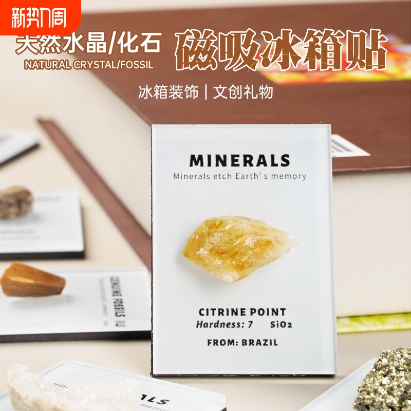天然化石水晶礼品摆件冰箱贴礼物标本家居饰品矿石装饰琥珀矿物