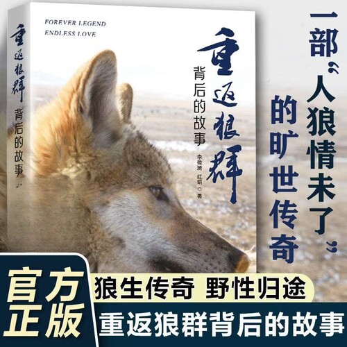 【官方正版】重返狼群背后的故事 李微漪 红娟 著 一部人狼情未了的旷世传奇难以割舍恒以在怀的牵挂探寻人与自然和谐之道