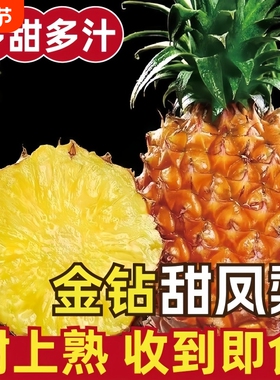 海南金钻凤梨台农17号手撕凤梨新鲜水果特大整箱包邮送礼特产