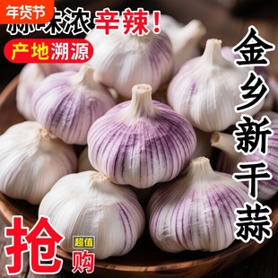 【金乡大蒜】新干蒜紫皮大蒜新鲜大蒜头红皮大蒜批发优质蒜子便宜