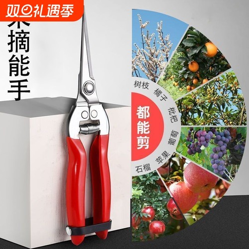 不锈钢摘果剪园艺剪刀修枝剪葡萄火龙果剪采摘花椒神器专用剪树枝