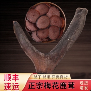 鹿茸片干鹿茸血片头茬梅花鹿角片泡酒煲汤专用中药材专用正品