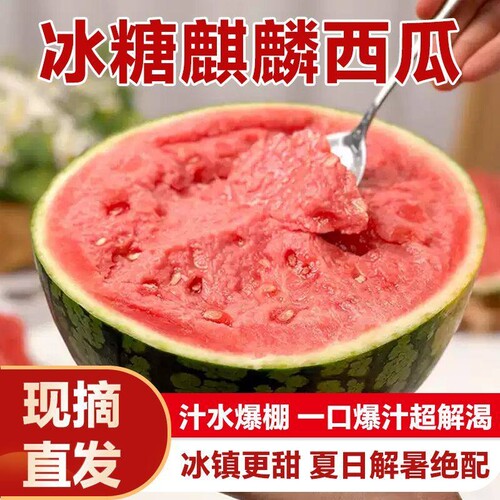新鲜麒麟西瓜水果现摘8424美都