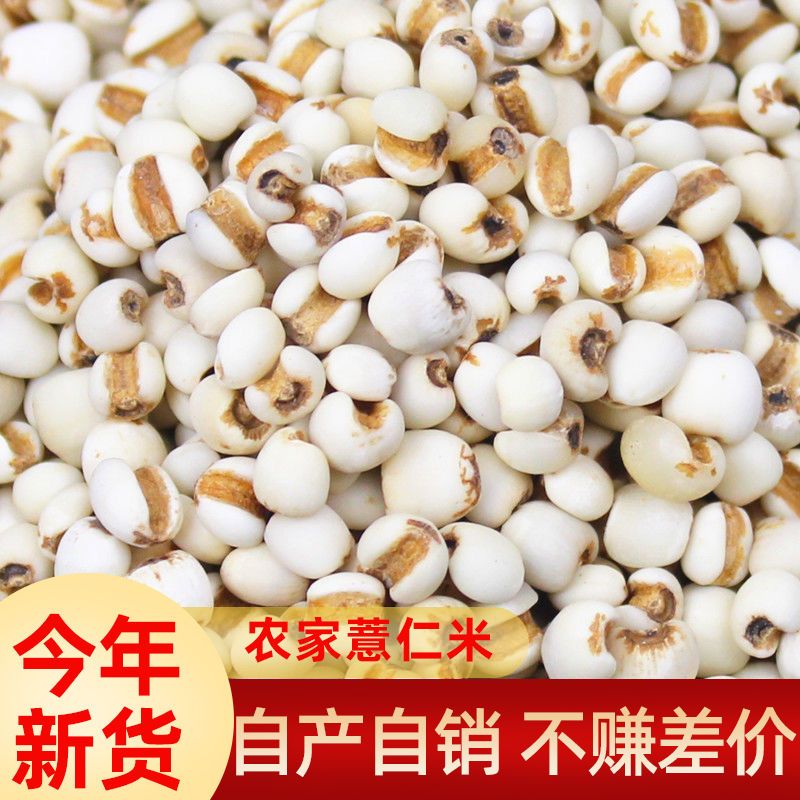 农家新货薏仁米小生薏米五谷杂粮搭配红豆赤豆煮茶泡水粗粮薏米仁图片