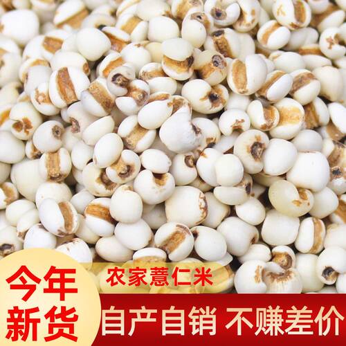 农家新货薏仁米小生薏米五谷杂粮搭配红豆赤豆煮茶泡水粗粮薏米仁