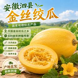 好念头安徽泗县金丝绞瓜特产新鲜即食蔬菜正宗应季源头凉拌