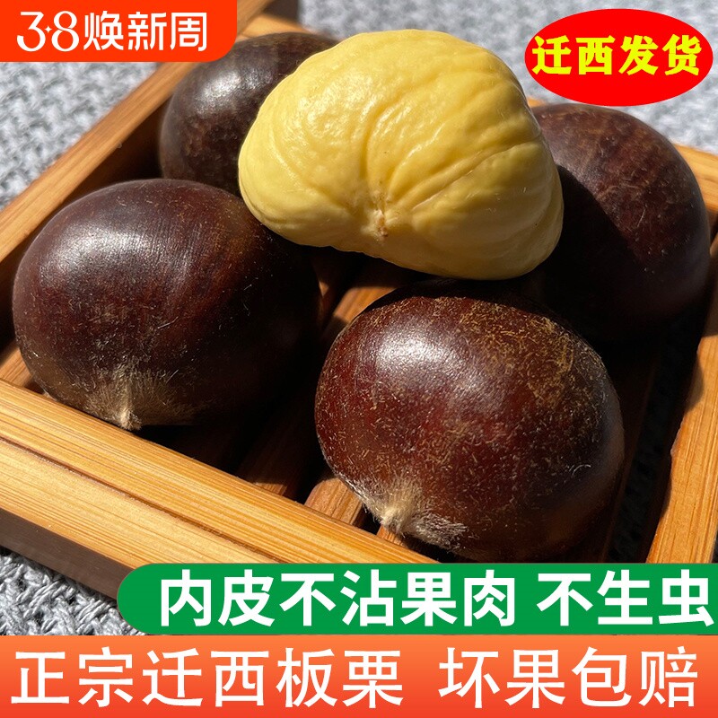 2025正宗迁西板栗生新鲜栗子河北唐山带壳板栗燕山小毛油栗大板粟