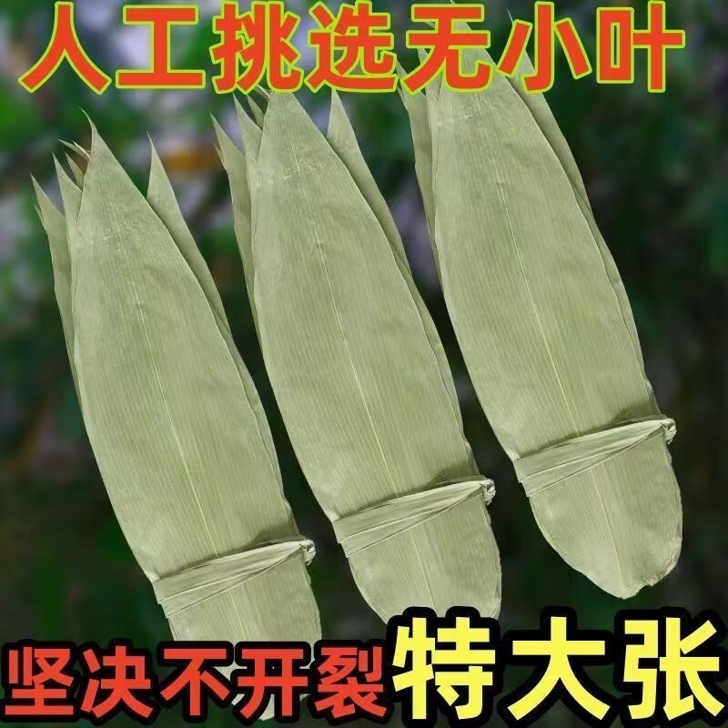 粽叶新鲜大号棕叶干包粽子的叶子天然野生竹叶粽绳箬叶粽子叶图片