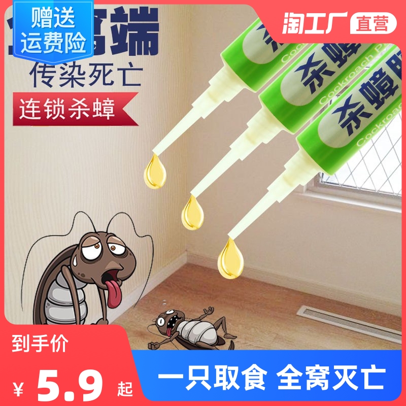 3支蟑螂药杀蟑胶饵小强克星家用全窝端非无毒饭店强力灭蟑蜚蠊