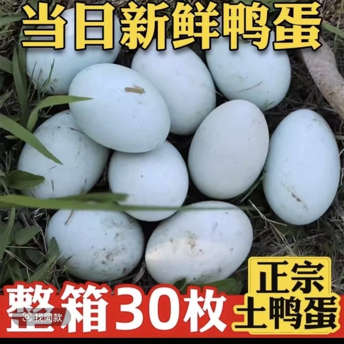 正宗土鸭蛋20枚新鲜鸭蛋农家散养青壳麻鸭蛋现捡鸭蛋
