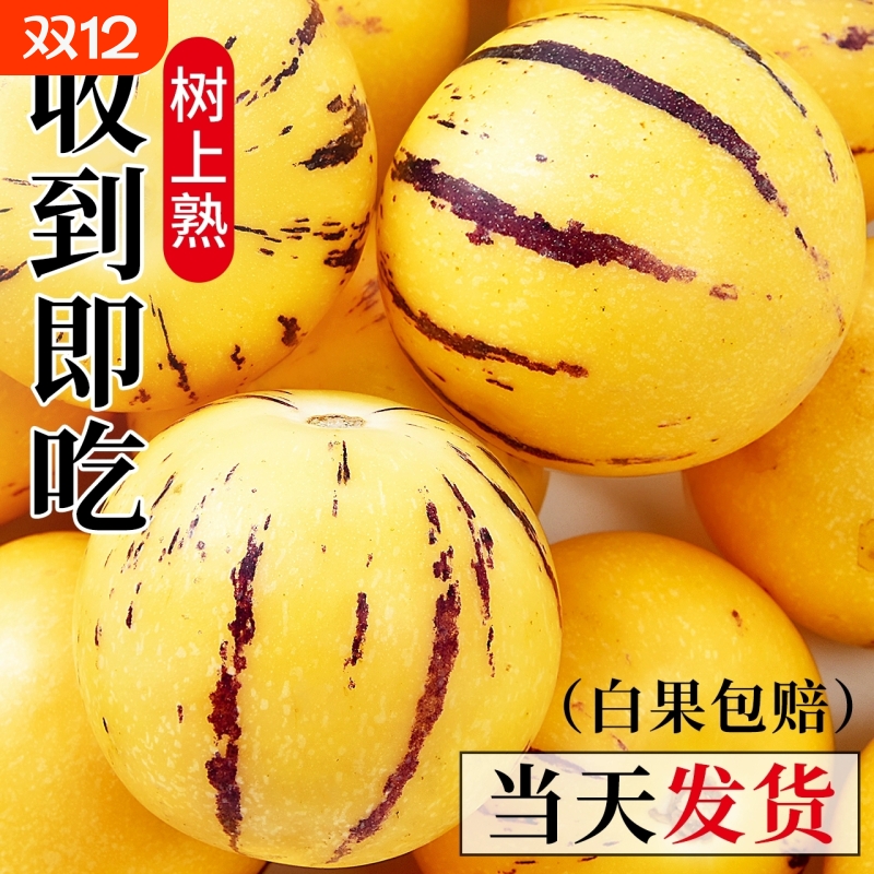 人参果新鲜云南石林圆果娃娃果七彩黄肉水果产地直发树上熟