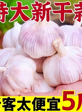 山东金乡大蒜5斤农家新紫皮大蒜新干蒜大蒜头精选干蒜批发