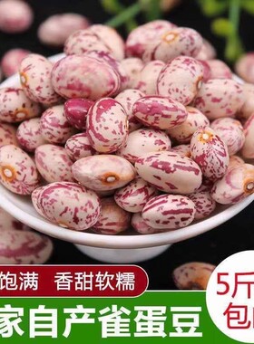 雀蛋豆新货云南农家金丝豆奶白花豆芸豆五谷杂粮半斤四季豆干货