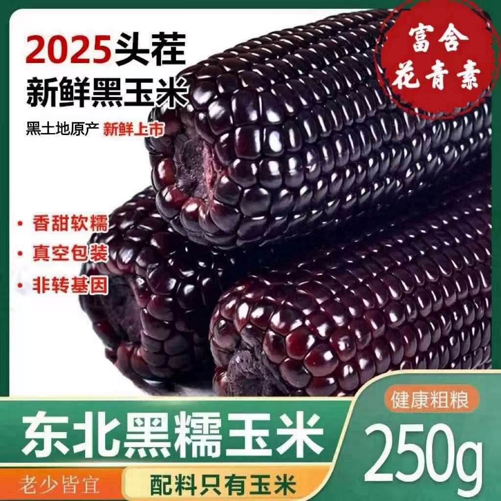 2025年头茬大棒10支新黑糯玉米新鲜现摘真空装包甜糯黏黑玉米代餐