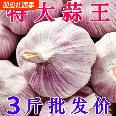 金乡紫皮大蒜5斤装|万人加购