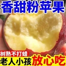 粉面沙甜苹果山西红秦冠苹果老人婴儿孕妇刮果泥吃新鲜9 包邮
