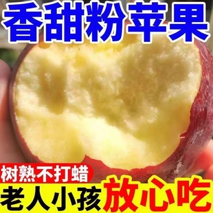 粉面秦冠苹果苹果山西红老人婴儿孕妇刮果泥吃新鲜9包邮年货节
