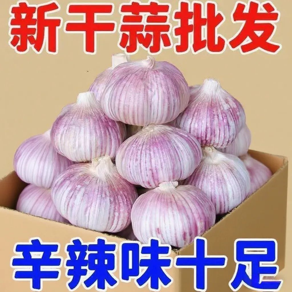 地头价2025年新鲜干紫白皮大蒜大蒜头山东农家自种干蒜大蒜头带箱