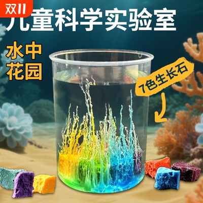 儿童科学实验手工材料包水中花园石头diy小学生套装玩具化学生长