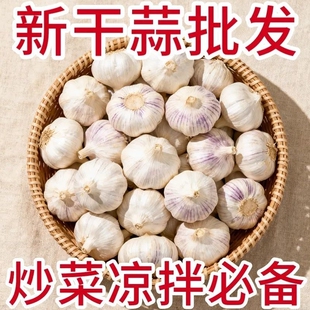 新干蒜紫皮大蒜新鲜大蒜头红皮大蒜批发优质蒜子便宜 金乡大蒜