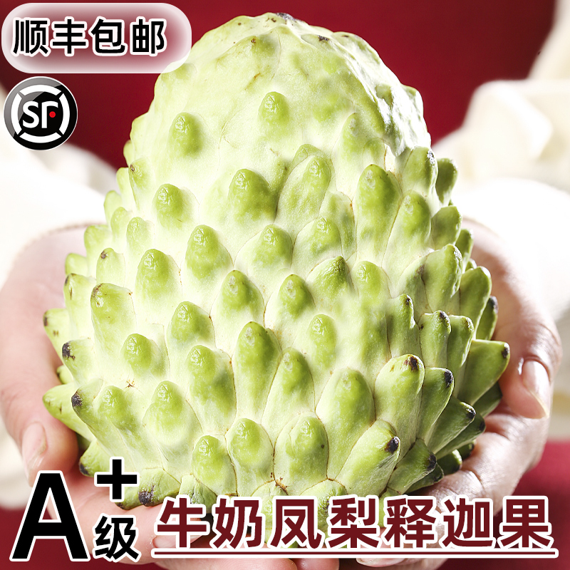 云南释迦果新鲜番荔枝大目凤梨牛奶果林檎摩尼果当季水果5斤顺丰