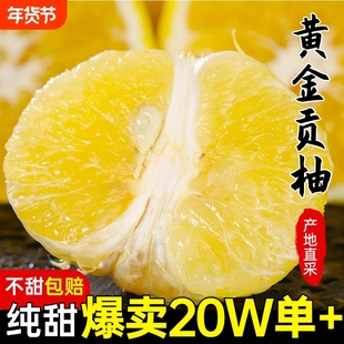黄金贡柚10斤包邮湖南怀化新鲜当季水果纯甜春香橘柚象山青胡柚