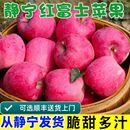正宗甘肃静宁红富士苹果新鲜当季 现摘水果脆甜不打蜡少农药带皮吃