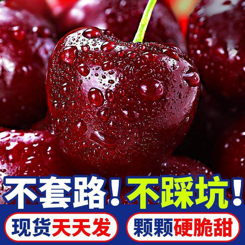 智利进口车厘子礼盒装大果当季新鲜车厘子脆甜樱桃孕妇水果包邮