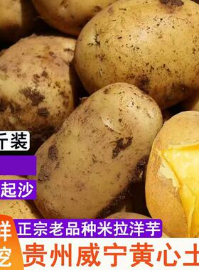 贵州威宁黄心土豆新鲜现挖
