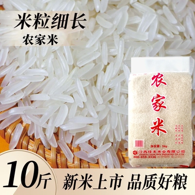 正宗农家米长粒香5kg优质大米10斤50斤批发便宜农家香米产地直发