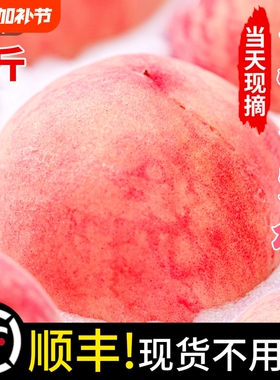顺丰春雪水蜜桃当季5斤新鲜水果整箱包邮孕妇脆桃毛桃冬桃子现货