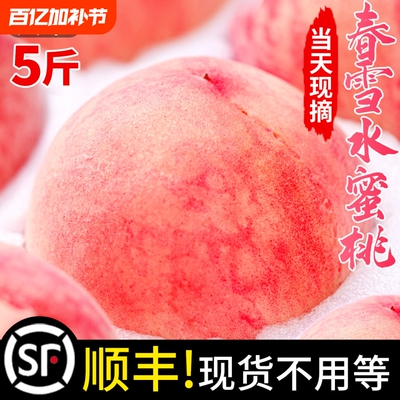顺丰春雪水蜜桃当季5斤新鲜水果