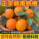 橙子正宗赣南脐橙江西赣州脐橙新鲜特级大果农场直发孕妇手剥橙
