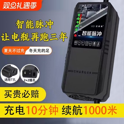 电动车电瓶充电器48V12AH60V20A72V适用于超威天能三轮铅酸石墨烯