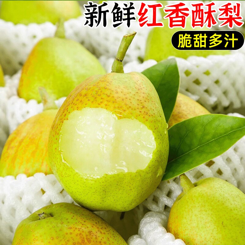 红香酥梨水果新鲜整箱当季包邮薄皮青酥梨脆蜜雪梨5香梨梨子