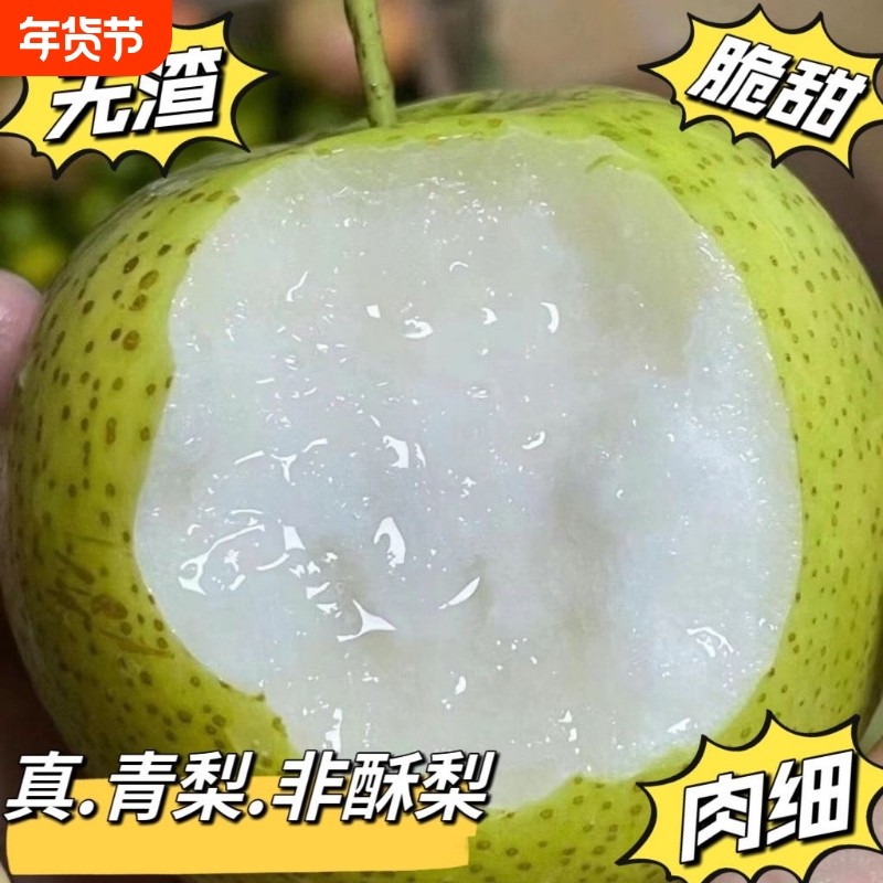 砀山梨皇冠梨新鲜水果脆甜正宗无渣翠冠梨香酥脆蜜早雪梨整箱包邮,水产肉类/新鲜蔬果/熟食,梨,淘宝优惠券,粉丝福利购,淘宝优惠卷